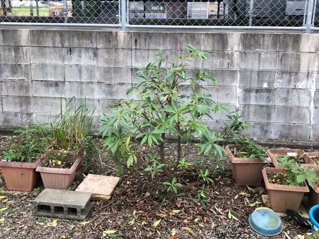 ＜駐車場代金お店負担☆＞営業時間外のご予約についてもご相談ください！サービスの画像