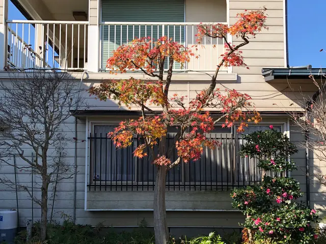 ＜駐車場代金お店負担☆＞営業時間外のご予約についてもご相談ください！サービスの画像