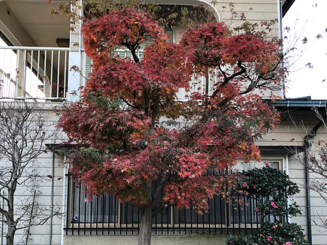 ＜駐車場代金お店負担☆＞営業時間外のご予約についてもご相談ください！サービスの画像