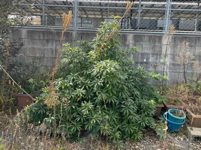 ＜駐車場代金お店負担☆＞営業時間外のご予約についてもご相談ください！サービスの画像