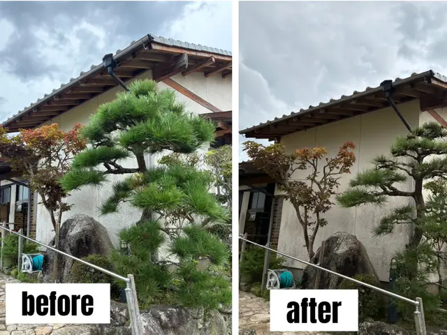 あなたの庭に添った庭づくり　造園歴15年の庭師在籍！　確かな剪定をお届けします♪サービスの画像