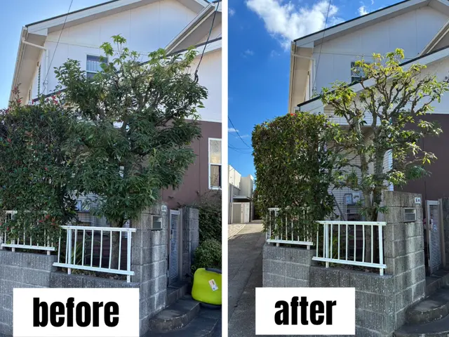 あなたの庭に添った庭づくり　造園歴15年の庭師在籍！　確かな剪定をお届けします♪サービスの画像