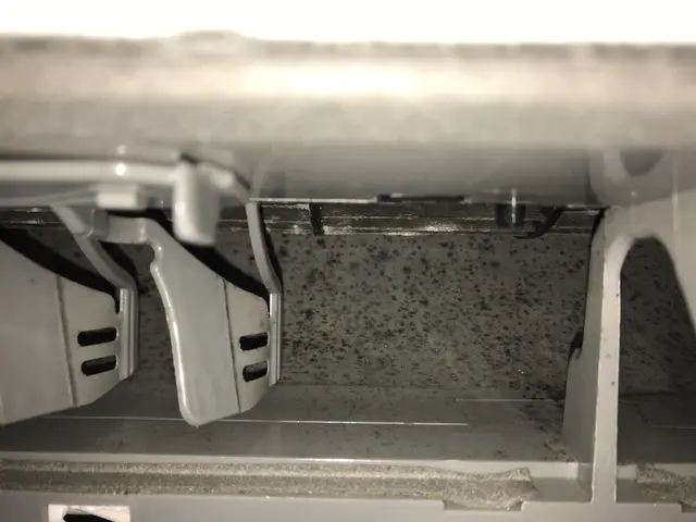 写真の私が必ず作業にお伺いします！あなたの手の届かない所、キレイにさせて下さい！サービスの画像