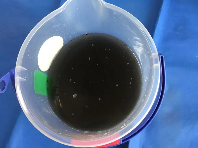 写真の私が必ず作業にお伺いします！あなたの手の届かない所、キレイにさせて下さい！サービスの画像