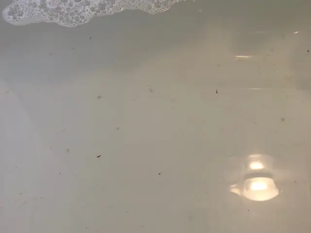 風呂釜配管洗浄サービスの画像