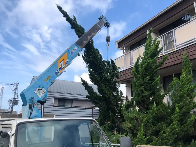 《有料P代全額負担》お庭のお困りごとをスッキリ解決！仕上がり保証ありで安心◎サービスの画像