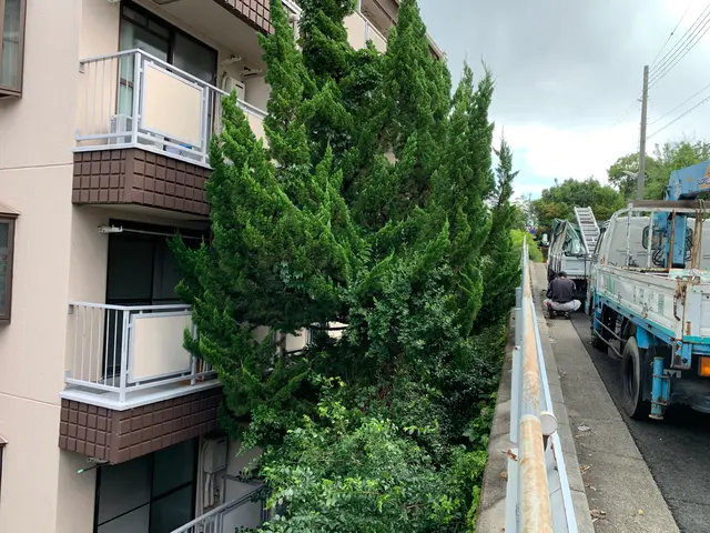 《有料P代全額負担》お庭のお困りごとをスッキリ解決！仕上がり保証ありで安心◎サービスの画像