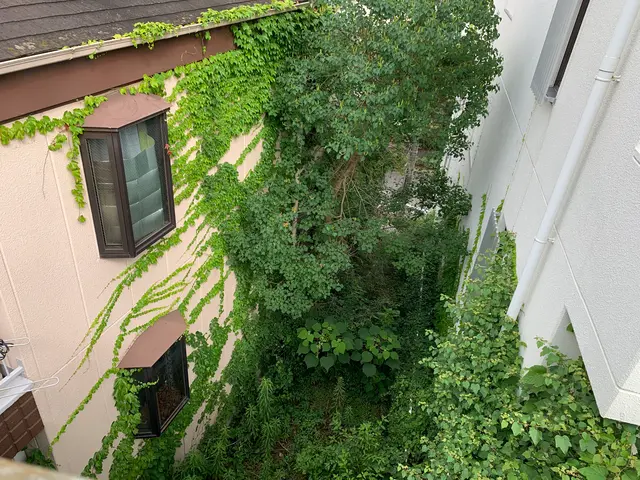 《有料P代全額負担》お庭のお困りごとをスッキリ解決！仕上がり保証ありで安心◎サービスの画像