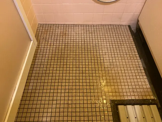 浴室やエプロン内部を高圧洗浄！鏡のウロコも機械研磨でプロの技術でリセット清掃！サービスの画像