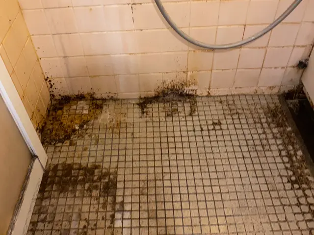 浴室やエプロン内部を高圧洗浄！鏡のウロコも機械研磨でプロの技術でリセット清掃！サービスの画像