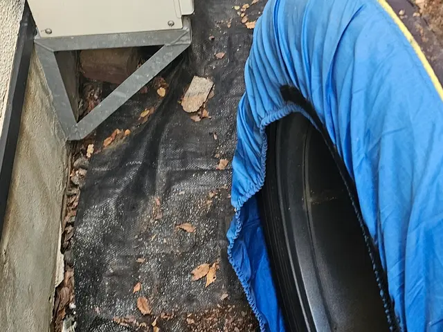 落ち葉掃除サービスの画像