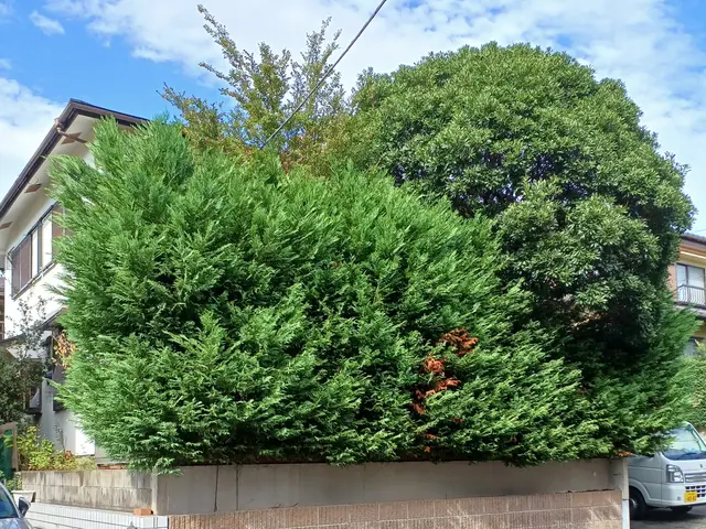 【町田市発】駐車場代当店負担◎営業時間外・対応地域外のご予約もご相談ください！サービスの画像