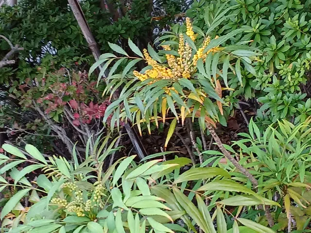 【町田市発】駐車場代当店負担◎営業時間外・対応地域外のご予約もご相談ください！サービスの画像