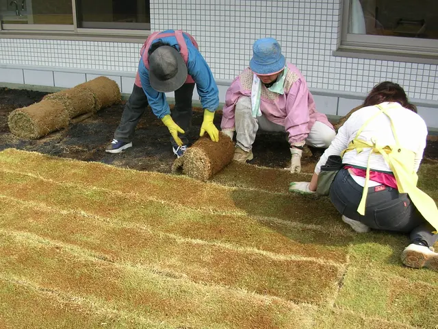 【15年の実績】つくばグリーンを使用した金額です。その他の芝生でも施工可能です。サービスの画像