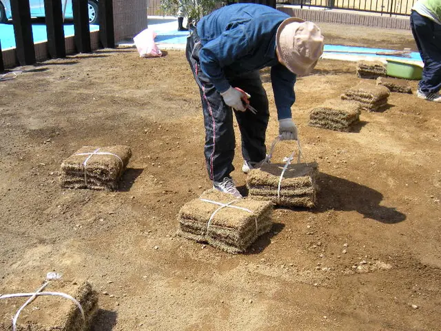 【15年の実績】つくばグリーンを使用した金額です。その他の芝生でも施工可能です。サービスの画像