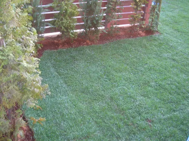 【15年の実績】つくばグリーンを使用した金額です。その他の芝生でも施工可能です。サービスの画像