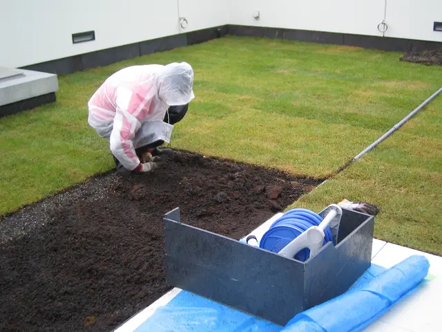 【15年の実績】つくばグリーンを使用した金額です。その他の芝生でも施工可能です。サービスの画像