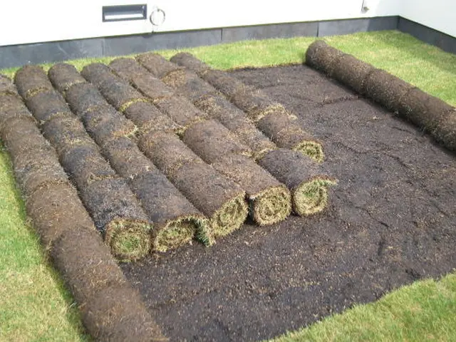 【15年の実績】つくばグリーンを使用した金額です。その他の芝生でも施工可能です。サービスの画像