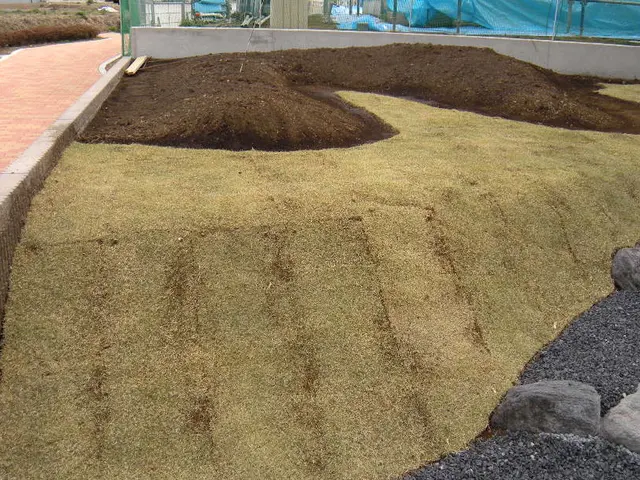 【15年の実績】つくばグリーンを使用した金額です。その他の芝生でも施工可能です。サービスの画像