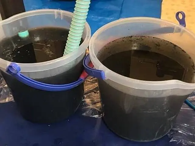 ◉eco洗剤無料◉抗菌コート1500円相当無料◉複数割【24H受付】全機種対応可サービスの画像