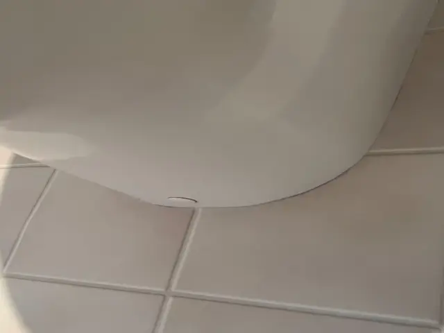 【賃貸も持ち家もOK】ペット対応、賃貸向け施工などあなたにピッタリのご提案しますサービスの画像