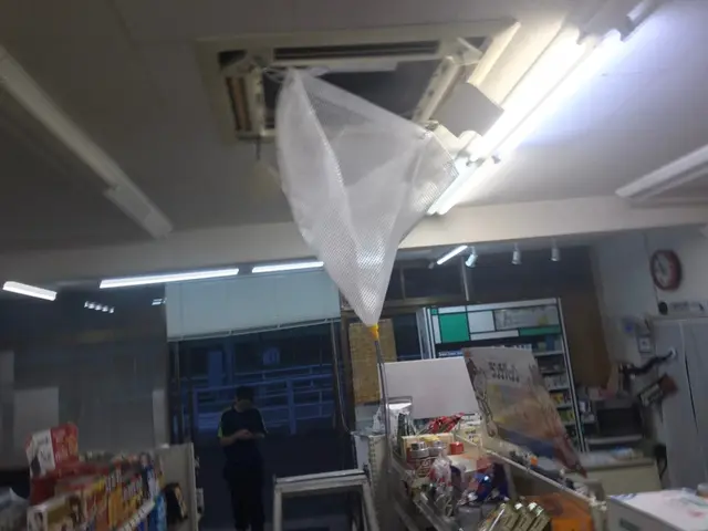 【コロナウイルス対策◎】「消臭、除菌、殺菌、抗菌」ならお任せ！サービスの画像