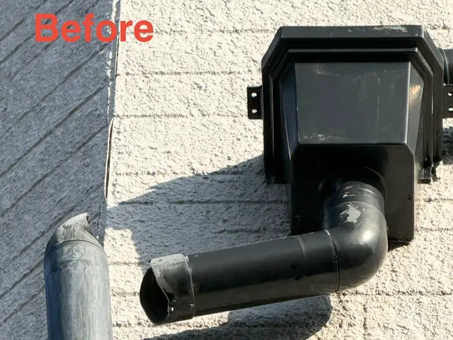 【雨樋掃除・修理清掃】雨樋の詰まり、高所も対応します。サービスの画像