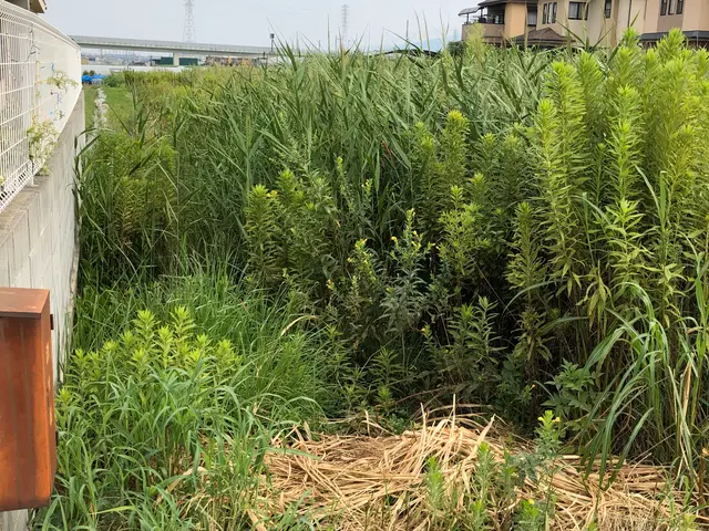 【業歴16年】無料御見積り可☆小さなご相談もお気軽に☆損害保険加入済みサービスの画像