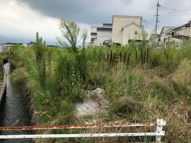 【業歴16年】無料御見積り可☆小さなご相談もお気軽に☆損害保険加入済みサービスの画像