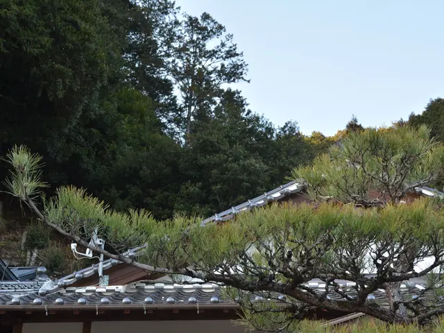 【自然風剪定、土壌改善、植物の扱い方】お気軽にご相談ください。サービスの画像