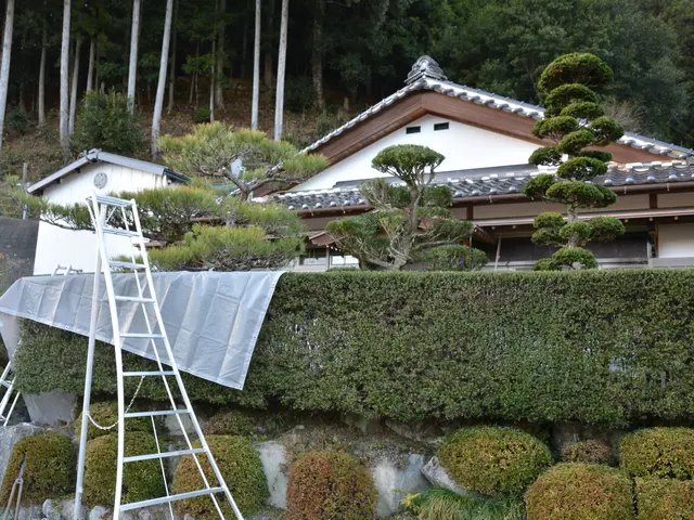 【自然風剪定、土壌改善、植物の扱い方】お気軽にご相談ください。サービスの画像
