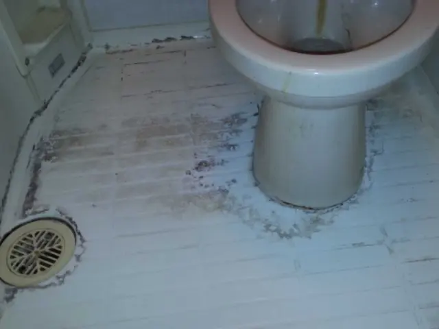 早めのカビ防止対策★カビ防止コート半額中 サービスの画像