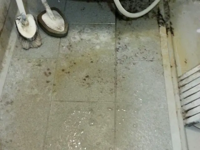 早めのカビ防止対策★カビ防止コート半額中 サービスの画像