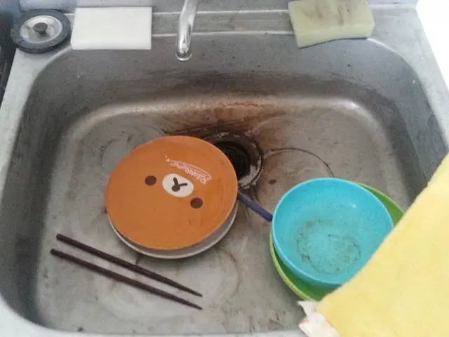 早めのカビ防止対策★カビ防止コート半額中 サービスの画像