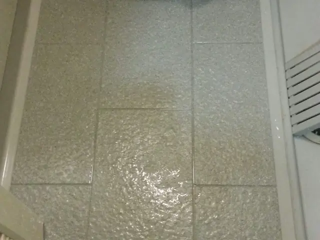 早めのカビ防止対策★カビ防止コート半額中 サービスの画像