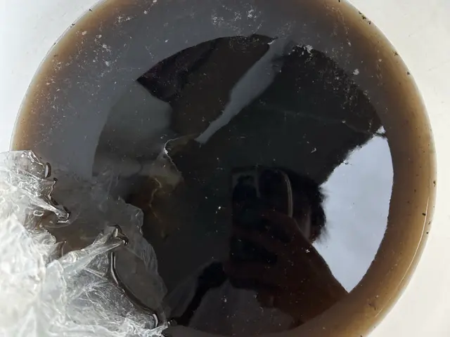 【リピート率の高さが自慢】高圧と洗剤にこだわり◉損害保険加入済み★大手経験あり！サービスの画像