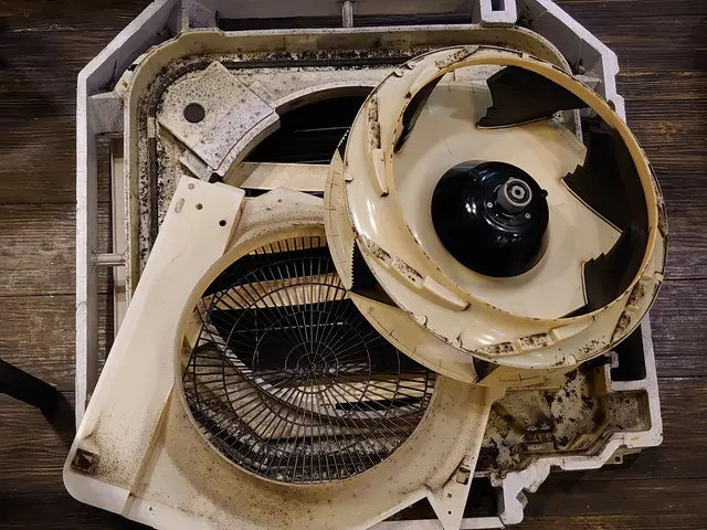 【猫好き★秋田出身25歳】60℃の温水高圧洗浄★PayPay他サービスの画像