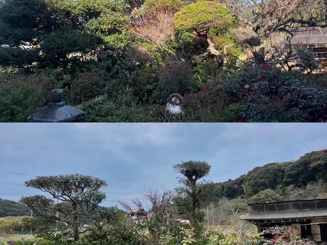 【県内剪定部門口コミ件数NO.1】【接客に自信アリ】お庭のお悩み解決致します！サービスの画像