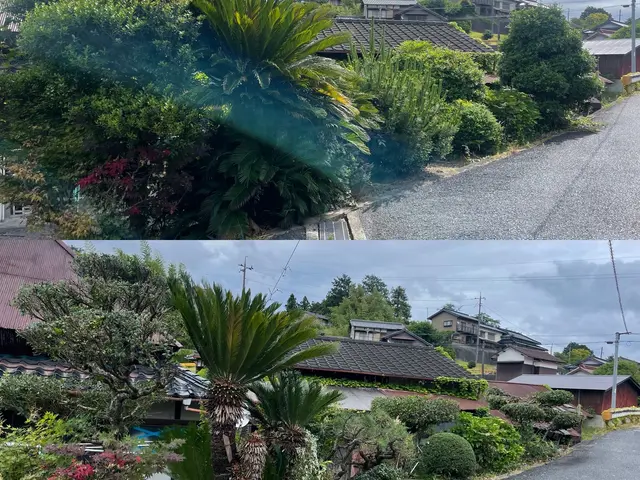 【県内剪定部門口コミ件数NO.1】【接客に自信アリ】お庭のお悩み解決致します！サービスの画像