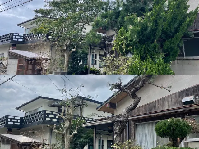 【県内剪定部門口コミ件数NO.1】【接客に自信アリ】お庭のお悩み解決致します！サービスの画像