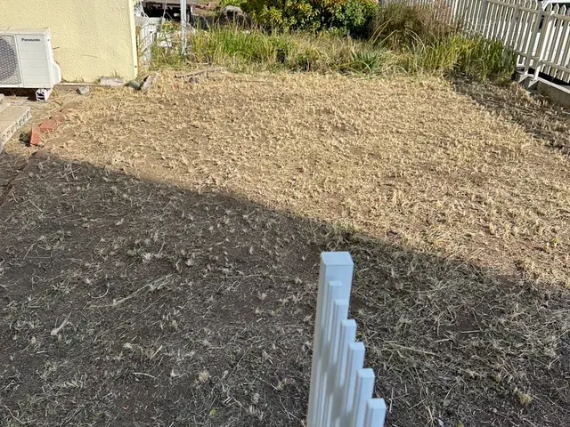 雑草にお困りの方、お問合せください。　キッチリ仕上げます！サービスの画像