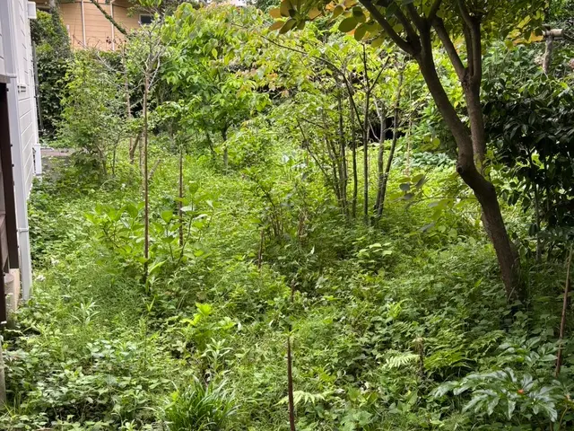 雑草にお困りの方、お問合せください。　キッチリ仕上げます！サービスの画像