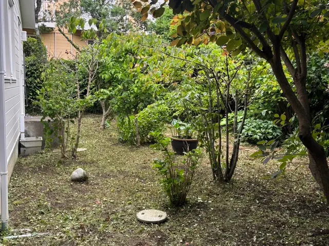 雑草にお困りの方、お問合せください。　キッチリ仕上げます！サービスの画像