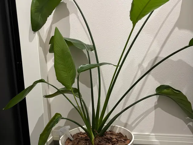 お客様のお力になります！経験と知識を活かして迅速丁寧に作業いたしますサービスの画像