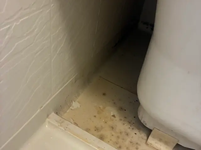 カビやピンク汚れなど徹底的にお掃除致します！サービスの画像