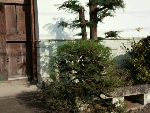 栃木　厚労省認定一級造園技能士。依頼多数の為、御予約お早めに。サービスの画像