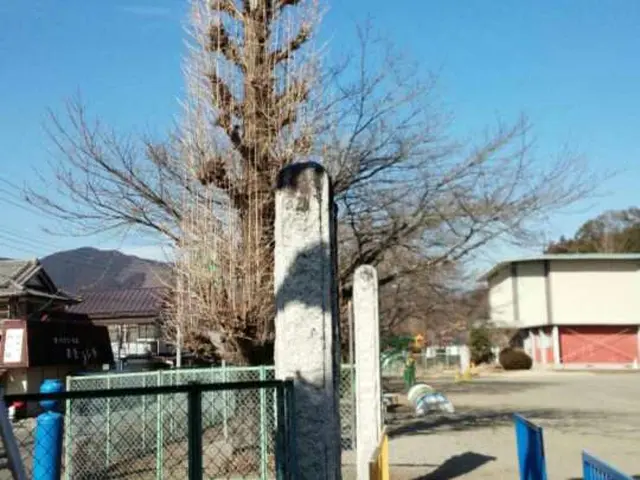 栃木　厚労省認定一級造園技能士。依頼多数の為、御予約お早めに。サービスの画像