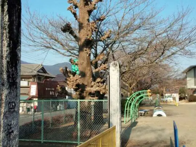 栃木　厚労省認定一級造園技能士。依頼多数の為、御予約お早めに。サービスの画像