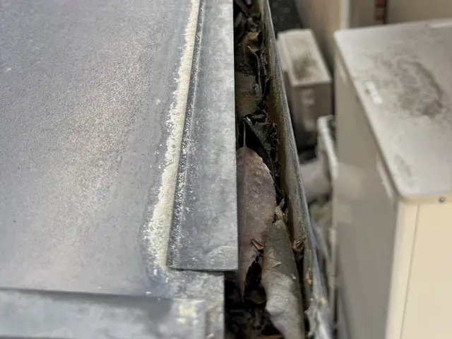 雨樋詰まり、掃除お任せ下さい。サービスの画像