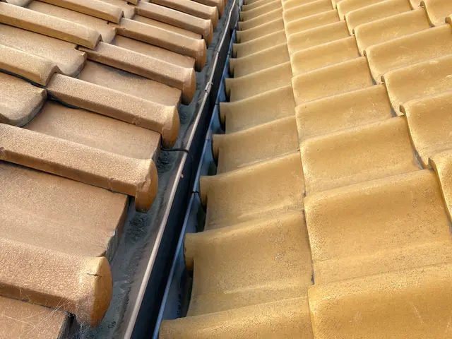 雨樋詰まり、掃除お任せ下さい。サービスの画像